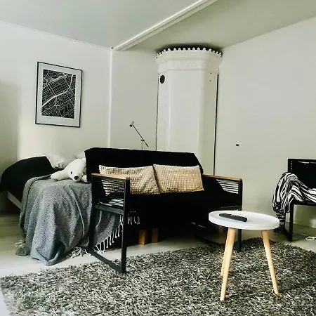 Apartment Bright And Spacious Premise In Turku, Portsa *