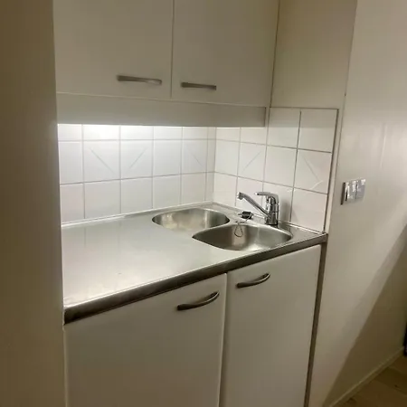 Bright And Spacious Premise In Turku, Portsa 公寓