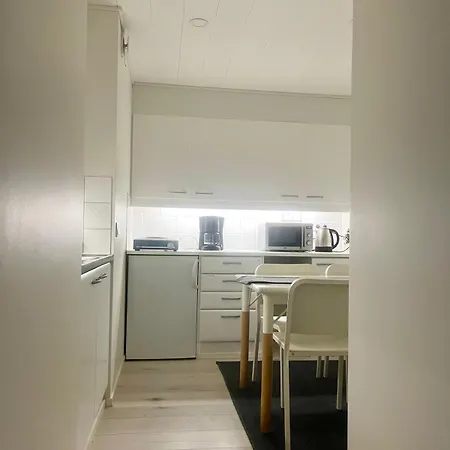 Apartment Bright And Spacious Premise In Turku, Portsa