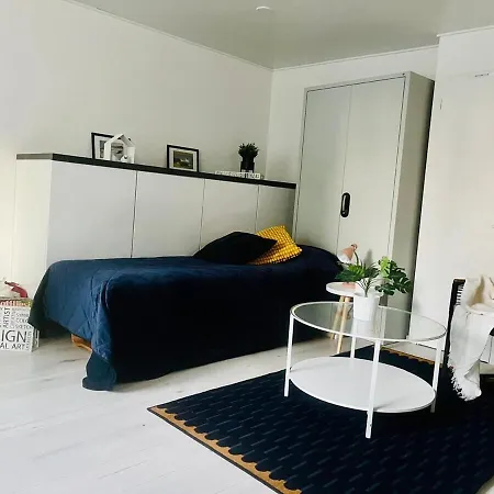 公寓 Bright And Spacious Premise In Turku, Portsa