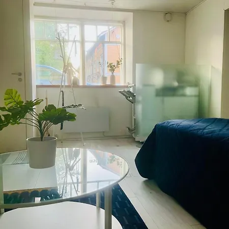 公寓 Bright And Spacious Premise In Turku, Portsa 图尔库