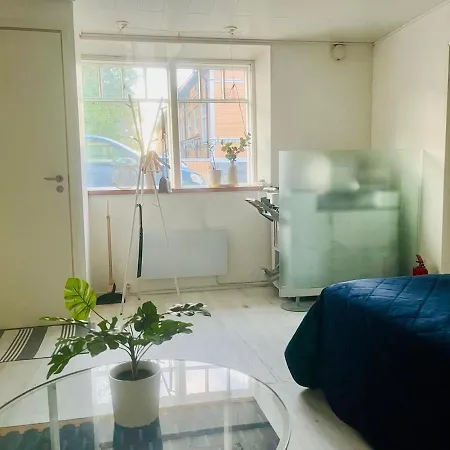 Bright And Spacious Premise In Turku, Portsa Appartement