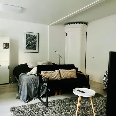 Apartment Bright And Spacious Premise In Turku, Portsa Turku
