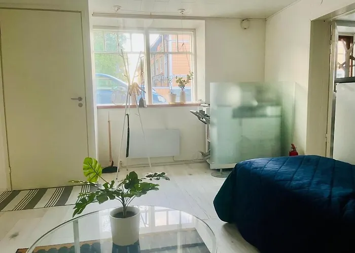 Bright And Spacious Premise In Turku, Portsa Διαμέρισμα